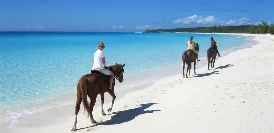Punta Cana: Horseback Riding through Stunning Beaches - Beach Time, Photos, and What Is Not Included