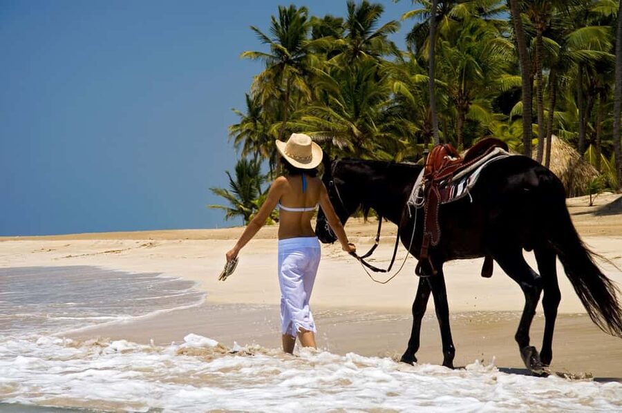 Punta Cana: Horseback Riding through Stunning Beaches - Reaching Uvero Alto or Macao Beach