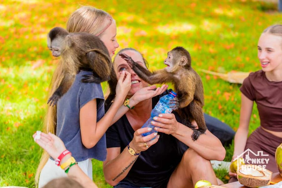Punta Cana: Interactive Experience at Monkey House - Key points to know before you go