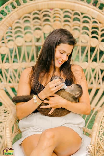 Punta Cana: Interactive Experience at Monkey House - A darker picnic with more freedom for photos