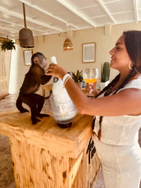 Punta Cana: Interactive Experience at Monkey House - What $99 buys you