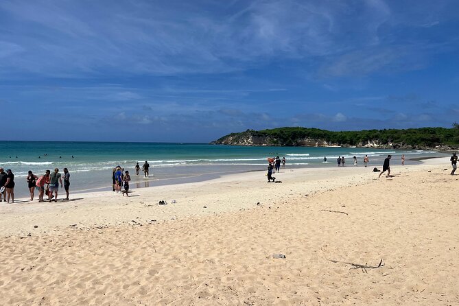 Punta Cana Jungle Buggy Tour: Macao Beach Visit and Cenote Swim - Who will enjoy this Punta Cana buggy tour