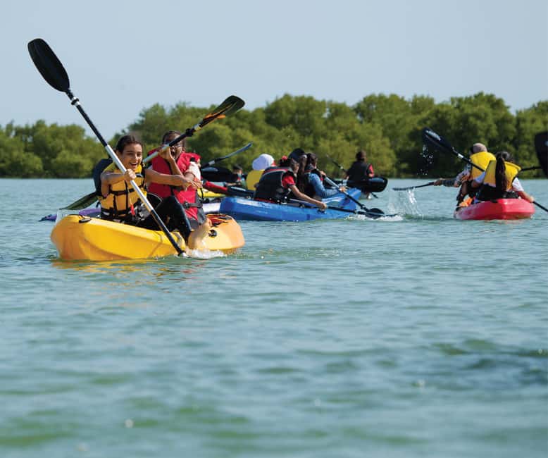 Punta Cana: Los Haitises Hike & Kayaking Mangroves - Why Los Haitises makes a good day trip