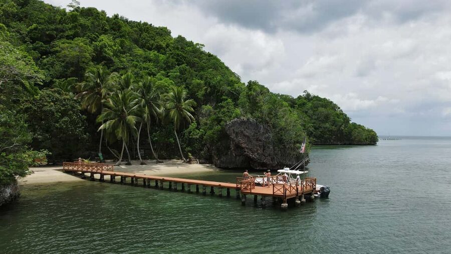 Punta Cana: Los Haitises Hike & Kayaking Mangroves - Walking through the humid forest
