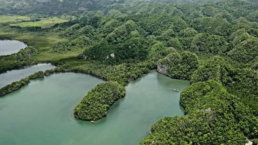 Punta Cana: Los Haitises Hike & Kayaking Mangroves - Guides, group style, and service