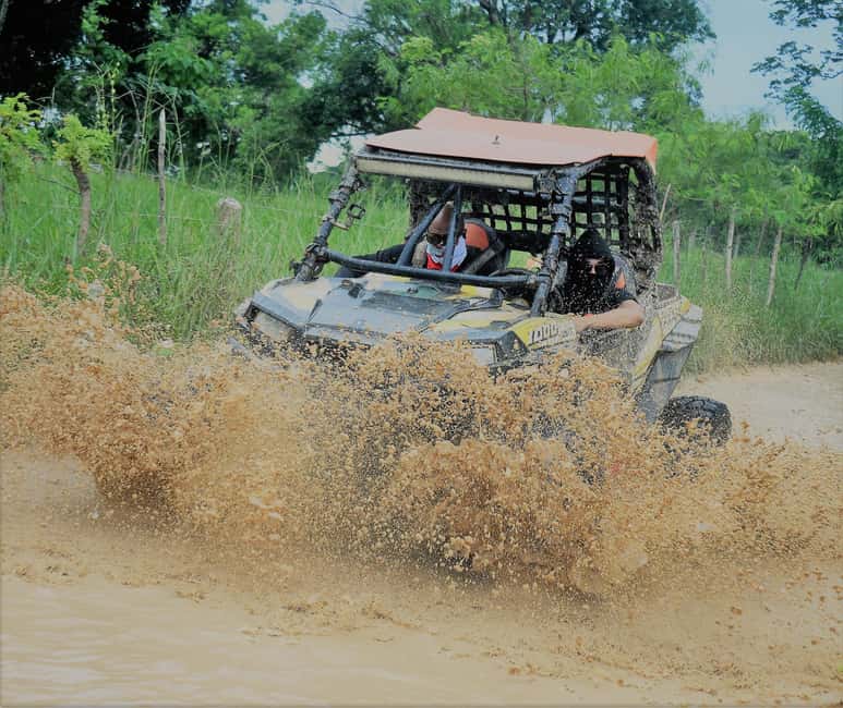 Punta Cana: Macao Beach and Cenote Buggy Adventure - How the Timing Affects the Experience