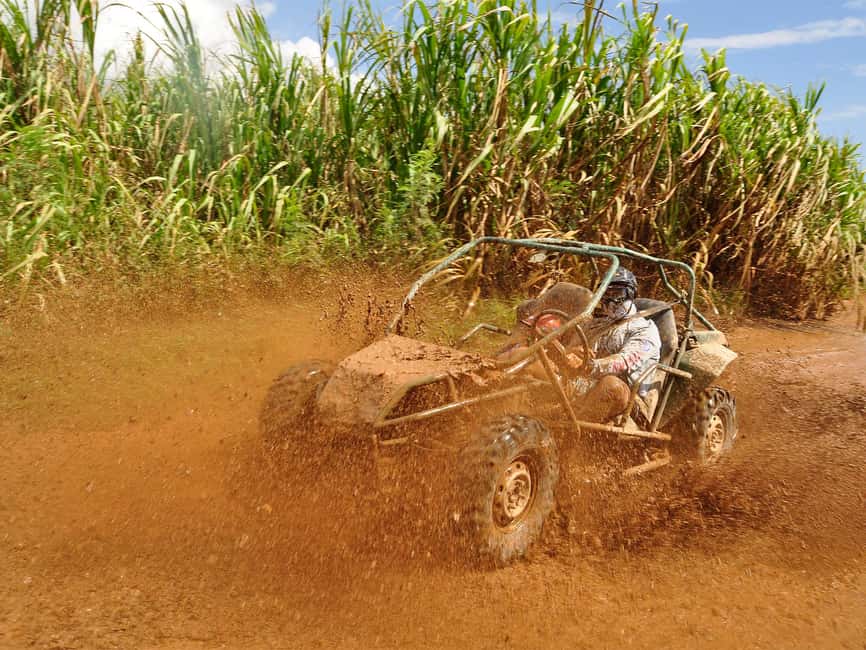 Punta Cana: Macao Beach Buggy Tour - A 3-hour escape from Punta Cana’s resort zone