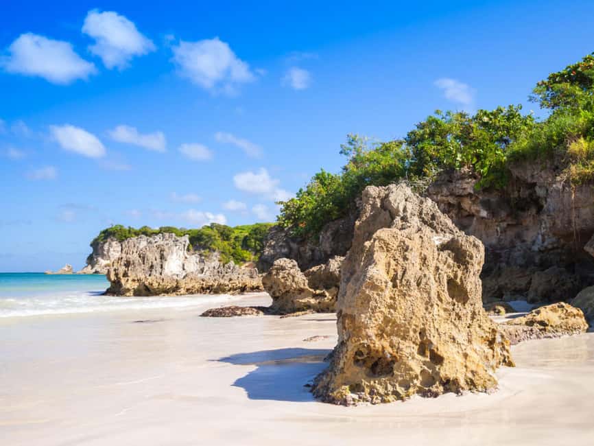 Punta Cana: Macao Beach Buggy Tour - Timing that keeps the morning moving