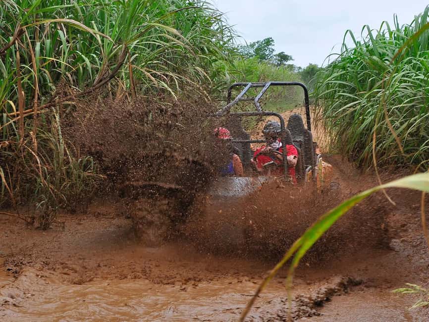 Punta Cana: Macao Beach Buggy Tour - Who should book this Macao Beach tour?