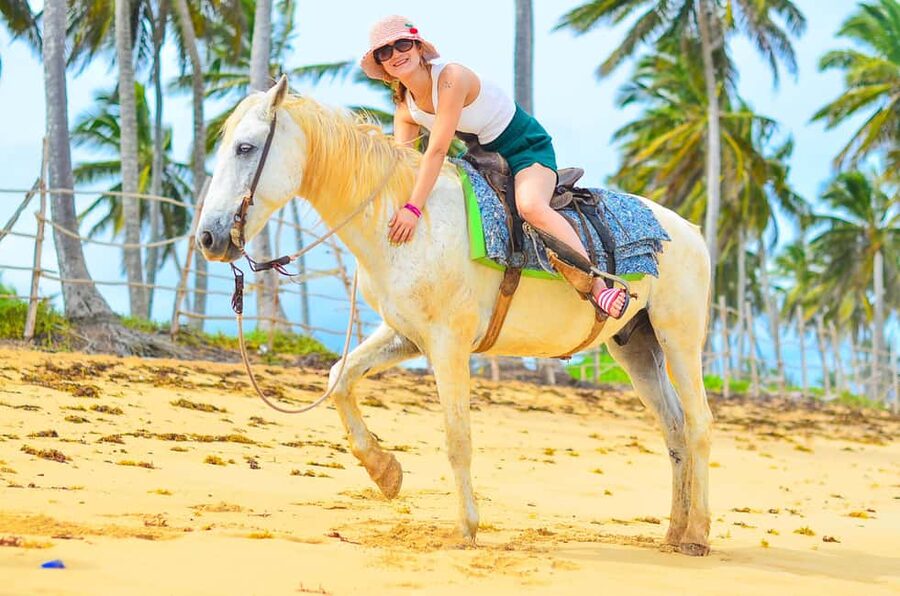 Punta Cana: Macao Beach & Forest Horseback Riding Tour - Who Will Enjoy This Punta Cana Tour?