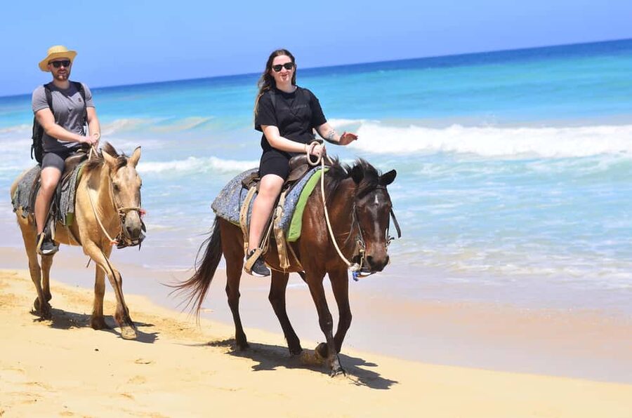 Punta Cana: Macao Beach & Forest Horseback Riding Tour - What the Horses and Guides Add to the Experience