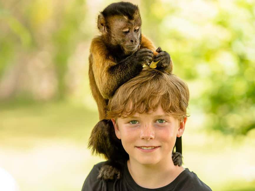 Punta Cana: Monkey Adventure by Jhoraji With Hotel Pick-Up - The pickup sets the tone