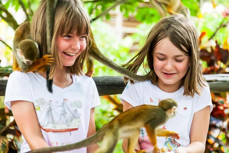 Punta Cana: Monkey Land Half-Day Safari and Plantation - Meeting the monkeys at Monkeyland