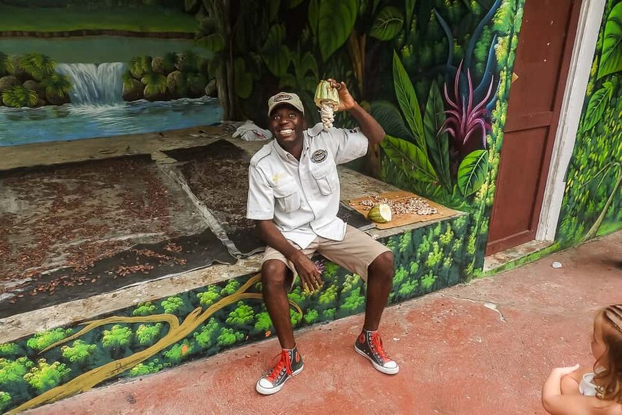 Punta Cana: Monkey Land Half-Day Safari and Plantation - Who will enjoy this half-day outing
