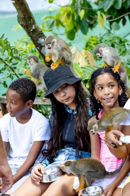 Punta Cana: Monkey Sanctuary Half-Day Tour - The monkey encounter near Bonao