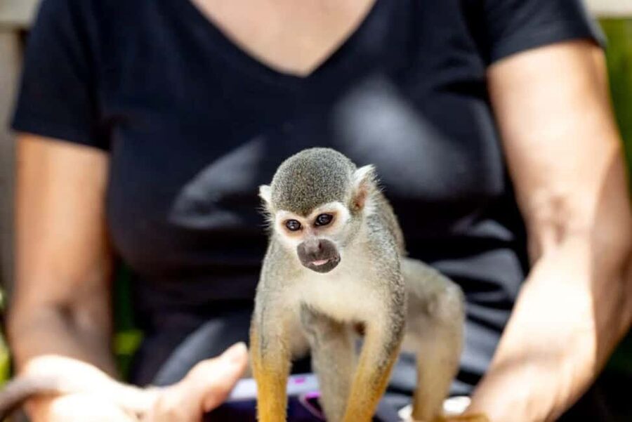 Punta Cana: Monkey Sanctuary Half-Day Tour - A countryside ride with local guides