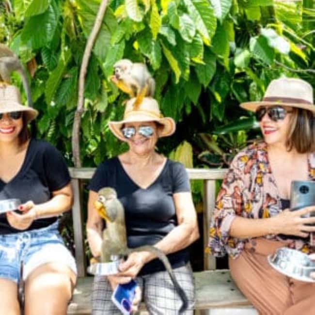 Punta Cana: Monkey Sanctuary Half-Day Tour - Coffee, chocolate, and coconut oil in the countryside