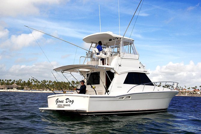 Punta Cana Offshore Deep Sea Fishing Charter - A boat that works for fishers and non-fishers