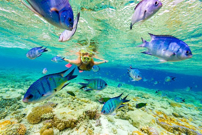 Punta Cana Parasailing & Snorkeling Cruise Experience - Key things to know before booking