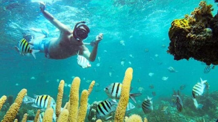 Punta Cana: Party Boat and Snorkeling Adventure - Key points to know before booking