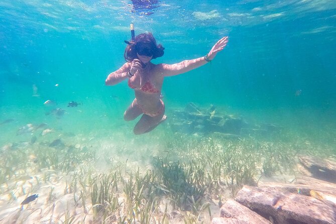 Punta Cana Private Cruise up to 10 people - Snorkeling at the restored reef