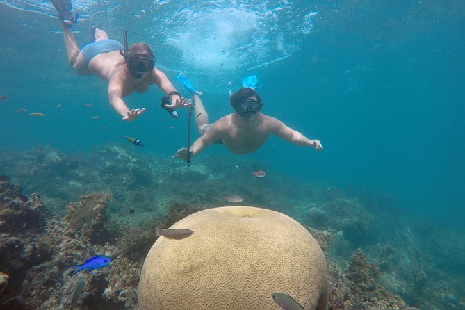 Punta Cana Private Cruise Up To 10 Snorkeling & Seafood lunch - Key points at a glance