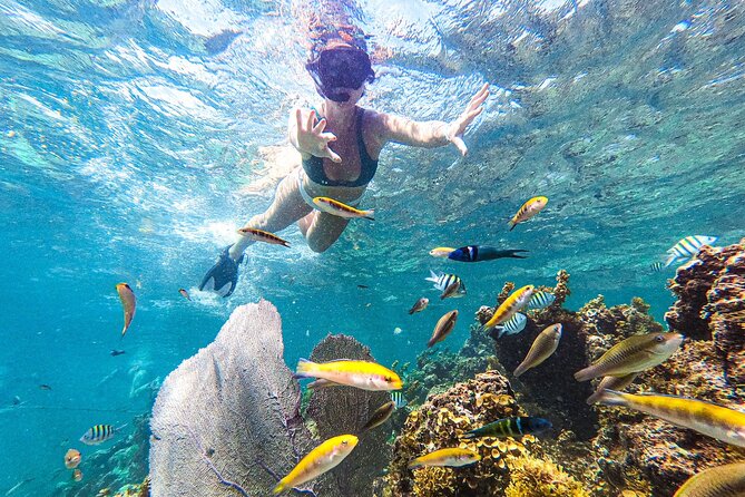 Punta Cana Private Cruise Up To 10 Snorkeling & Seafood lunch - Hotel pickup keeps the morning simple