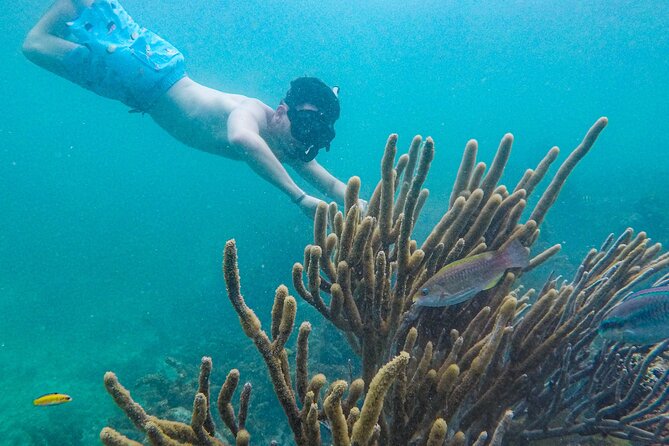 Punta Cana Private Cruise Up To 10 Snorkeling & Seafood lunch - Four feet of water at the natural pools