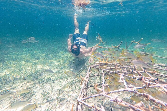 Punta Cana Private Cruise Up To 10 Snorkeling & Seafood lunch - Lunch from the Floating Kitchen