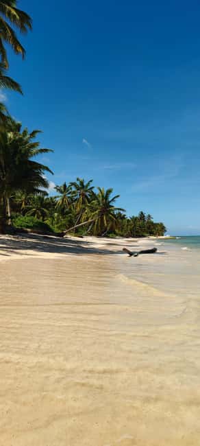 Punta Cana : Private yacht Snorkeling, Lagoon and Wild Beach - Starting at Jellyfish Beach in Bávaro