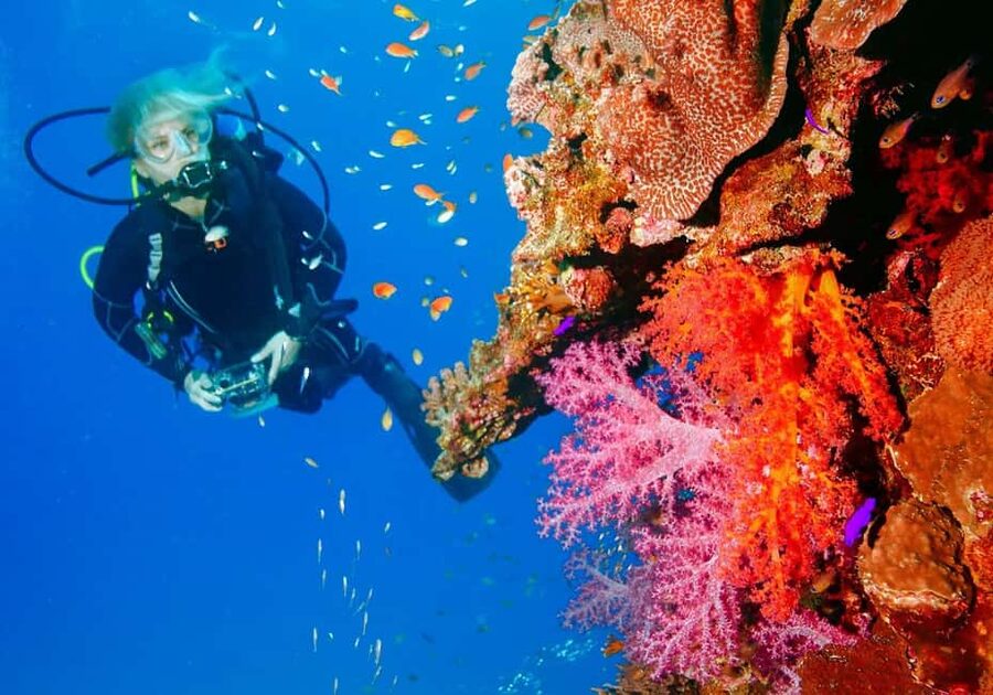 Punta Cana: Reef Diving Adventure Explore Underwater Wonders - Getting comfortable with SCUBA equipment