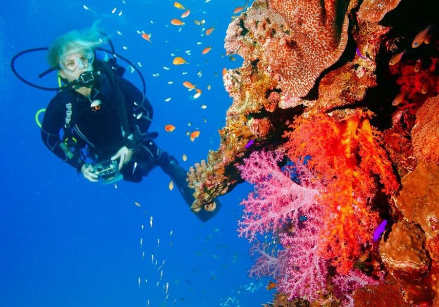 Punta Cana: Reef Diving Adventure Explore Underwater Wonders - Exploring coral reefs along the coast
