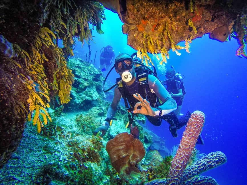 Punta Cana: Reef Diving Adventure Explore Underwater Wonders - Starting from your hotel lobby