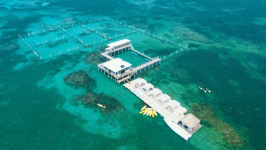 Punta Cana: Reef Explorer Access w/ Sharks & Stingrays Swim - Arrival, briefing, and getting your bearings