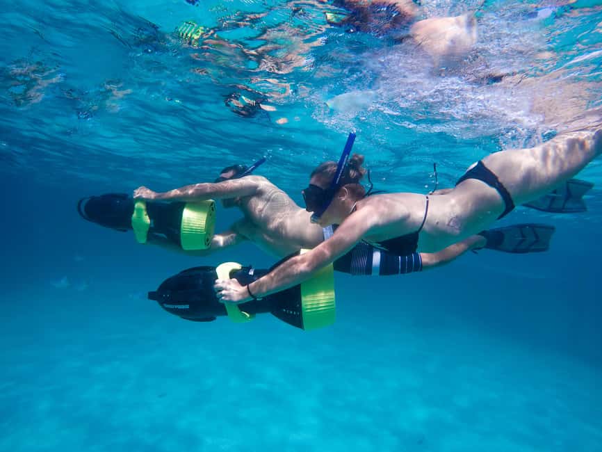 Punta Cana: Reef Explorer Access w/ Sharks & Stingrays Swim - Stingrays, close contact, and the ethical question