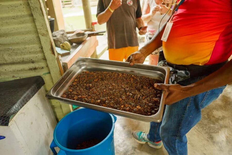 Punta Cana safari experience and historical city tour - From Punta Cana resorts to Higüey’s daily life