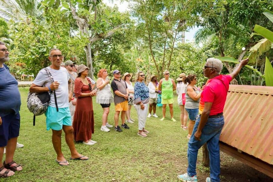 Punta Cana safari experience and historical city tour - A Dominican home with coffee, cocoa, and mamajuana