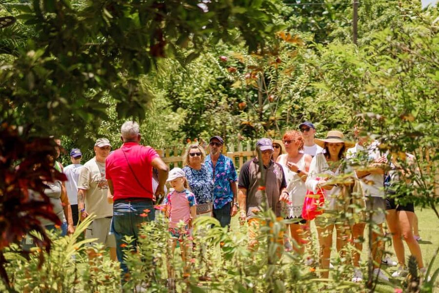 Punta Cana safari experience and historical city tour - Macao Beach and the route’s natural side