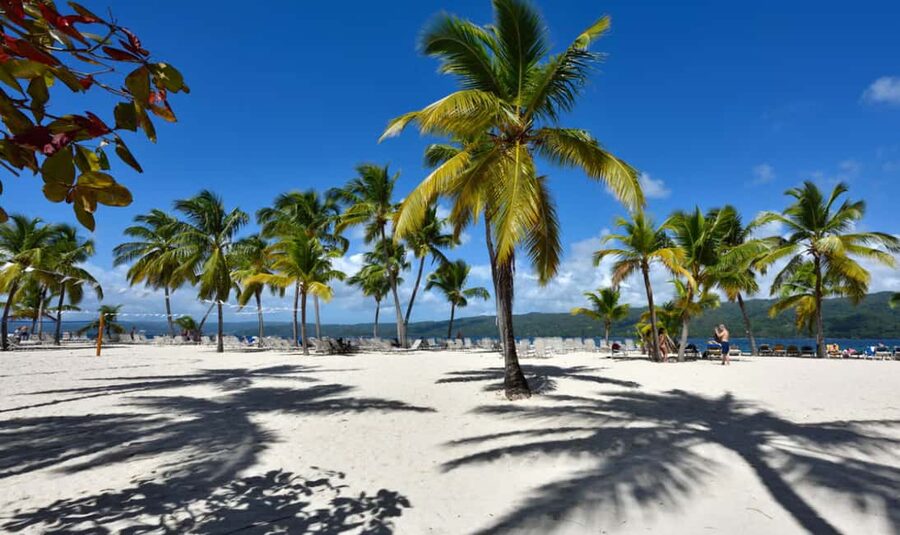 Punta Cana: Samaná Cayo Levantado & El Limón Waterfall Tour - The unexpected whale-watching possibility