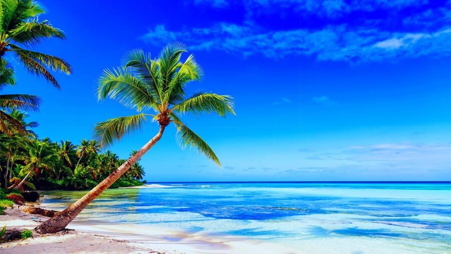 Punta Cana: Samaná Day Tour with Horse Ride and Cruise - What the $110 price really covers