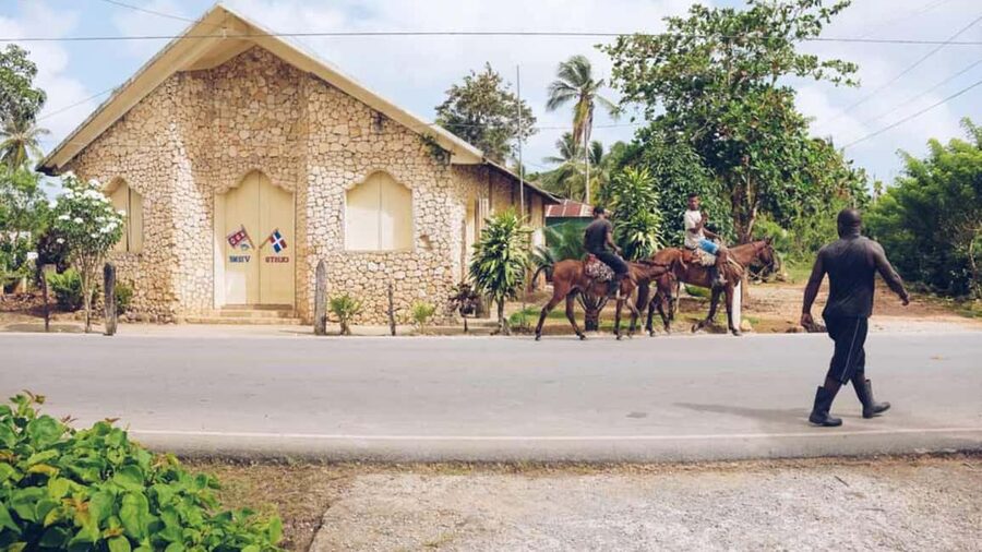 Punta Cana: Samana Full Day Trip Whale Cascada El Limon - Is $120 a fair price?