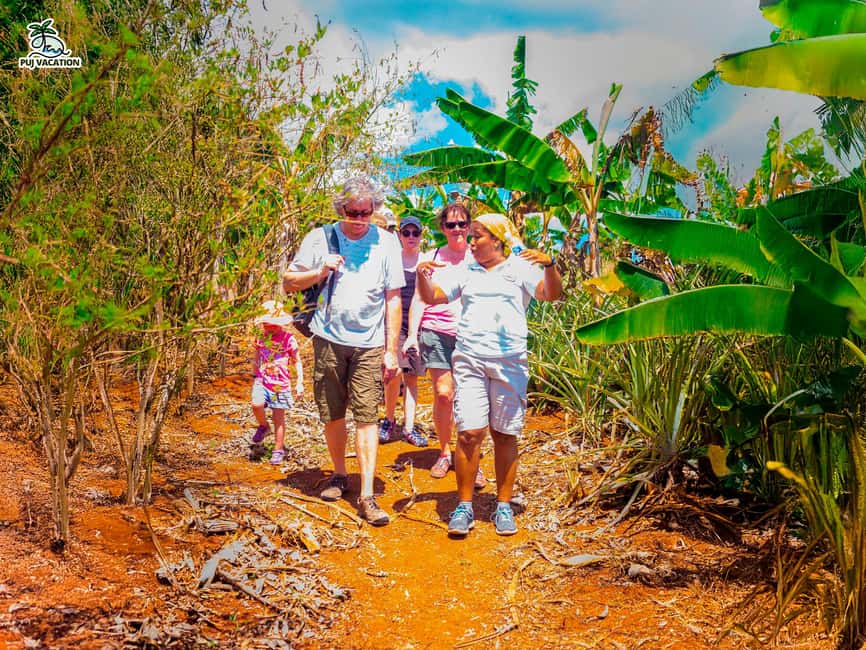 Punta Cana: Samana safari between waterfalls and beaches - Key points to know before booking
