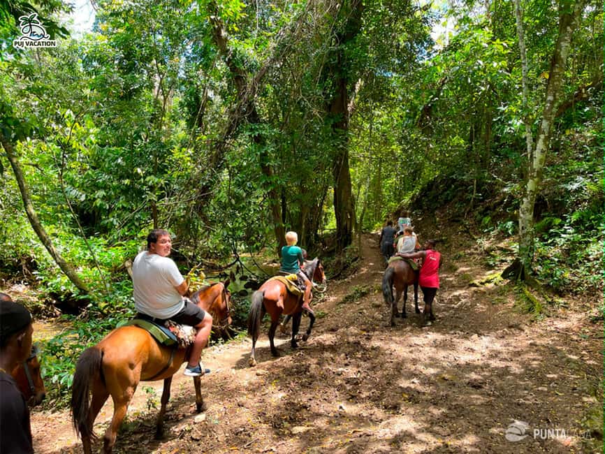 Punta Cana: Samana safari between waterfalls and beaches - Crossing the water to the Samaná Peninsula