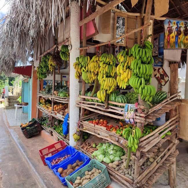Punta Cana: Samana safari between waterfalls and beaches - The early road to Cañita