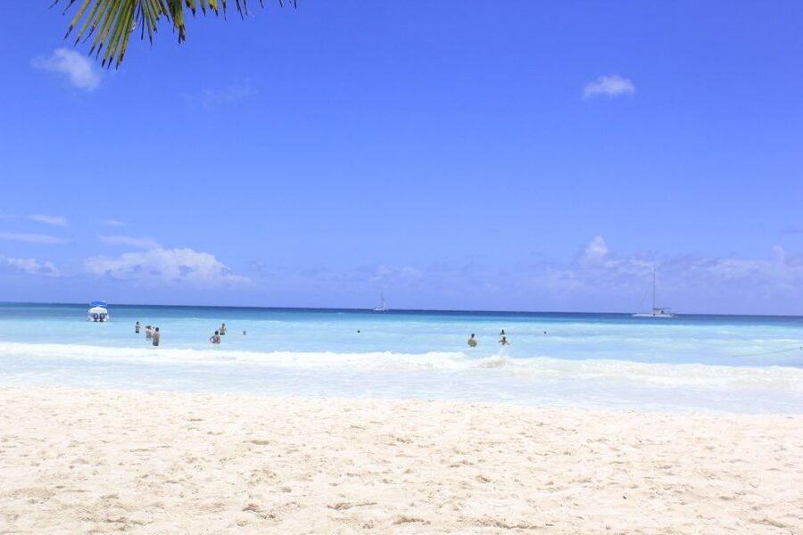 Punta Cana: Saona Island and Altos de Chavón Day Trip - What $92 really buys you