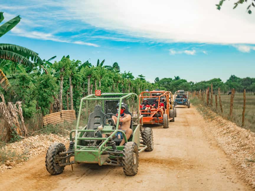 Punta Cana: Saona Island and Buggy Combo - Key points to know before booking