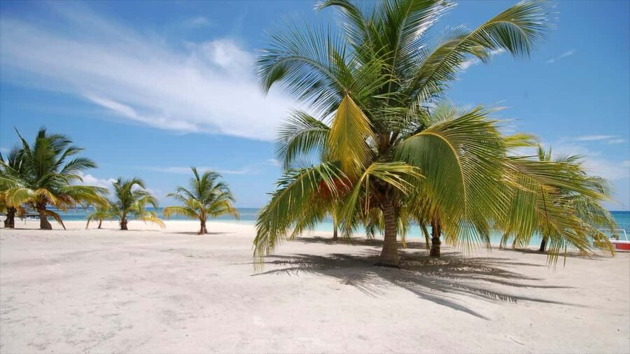 Punta Cana: Saona Island Catamaran Adventure with Lunch - Key points to know before booking