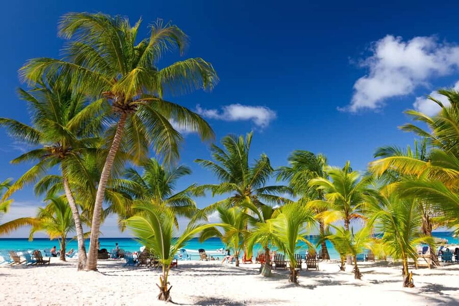 Punta Cana: Saona Island Catamaran Adventure with Lunch - What the $75 Saona Island trip really offers