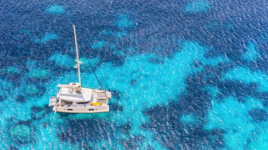 Punta Cana: Saona Island Catamaran Tour with Food & Open Bar - What the guides add to the day