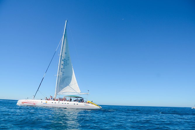 Punta Cana : Saona Island Day Tour - Key points to know before booking